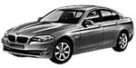 BMW F10 U1006 Fault Code